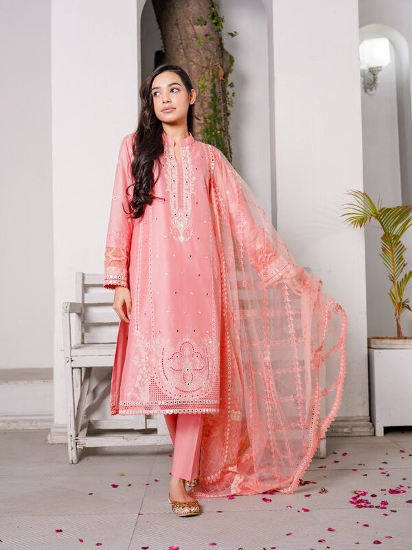 Zoya Chiffon Party Wear