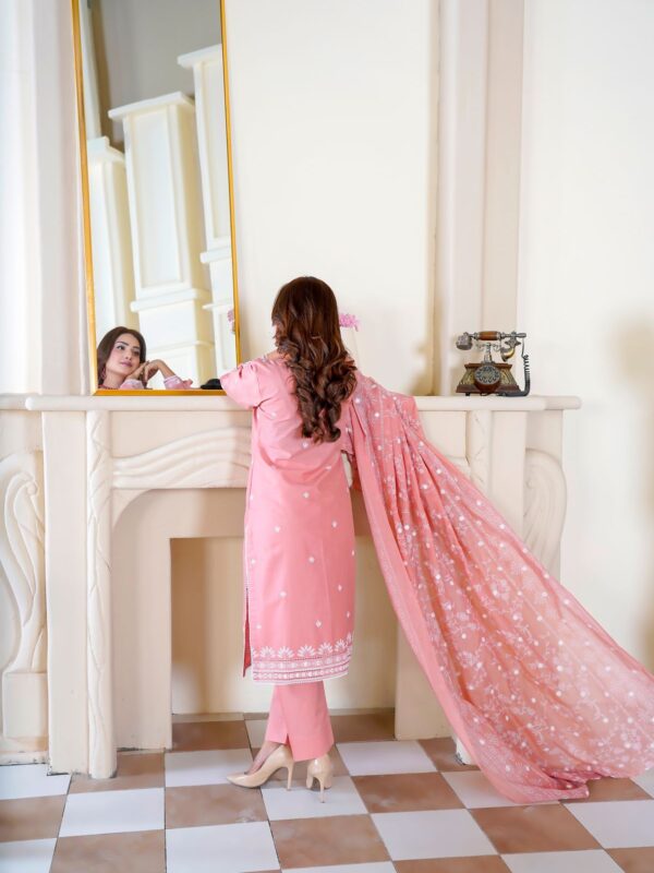 Areeba Velvet Embroidered Suit